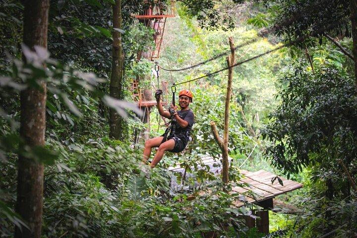 Zipline & Coffee with Waterfall Views in Koh Samui