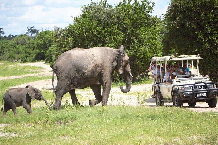 3 Hours Chobe Game Drive Safari, Botswana