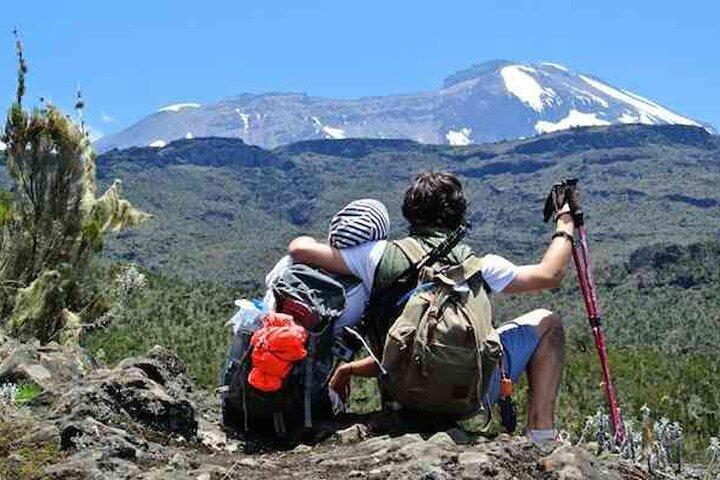 Kilimanjaro day trip starting from Arusha