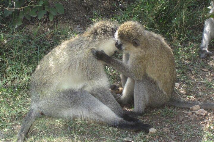 Beauty of Lake Duluti in Arusha