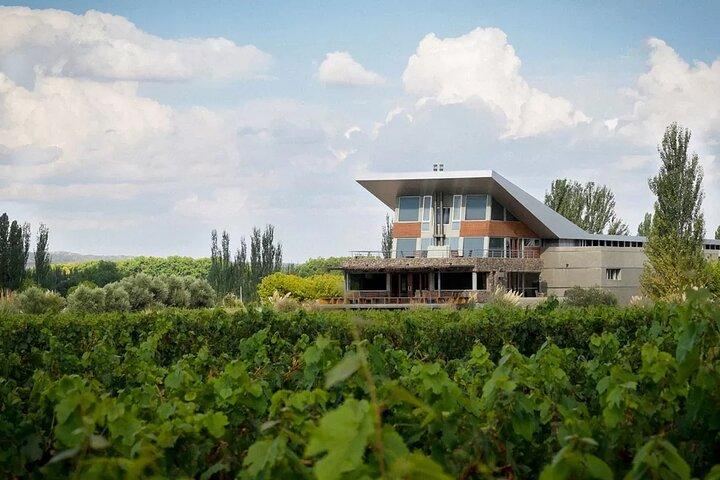 Luján de Cuyo Gourmet Wine Tour