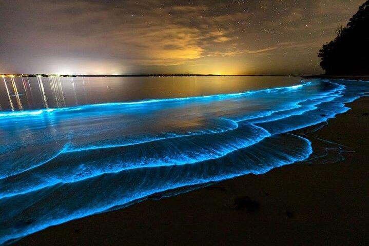 Holbox Bioluminescence: Night Kayak & Stargazing Eco Tour