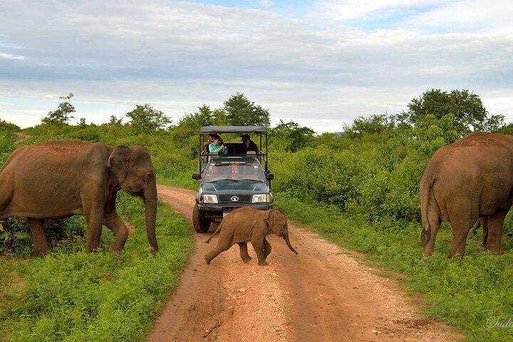 2 Day Private Tour of Udawalawe wild Safari & Galle Sightseeing - All Inclusive