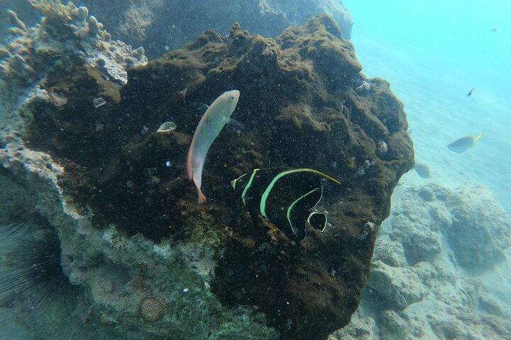 San Juan Snorkeling adventure