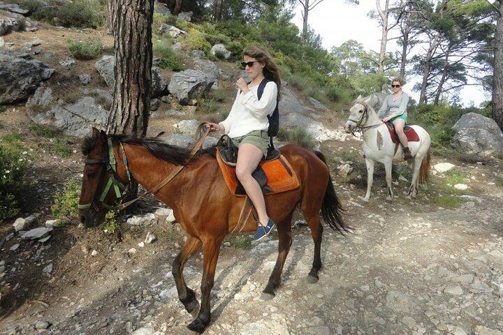 Horse Riding Tour in Bodrum with Hotel Pick Up