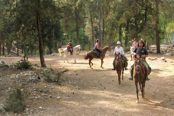 Horse Riding Tour in Bodrum with Hotel Pick Up