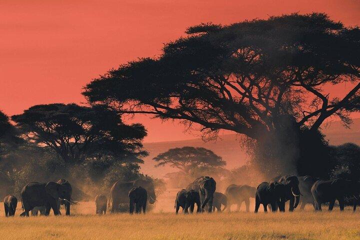6-Day Unforgettable Tour in Tanzania