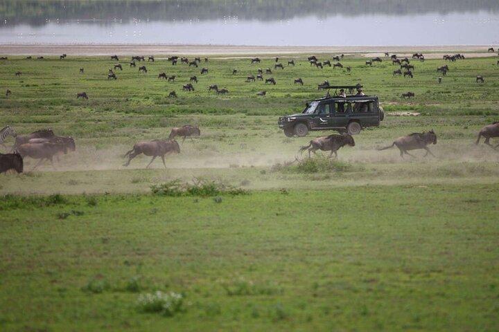 4-Day Tanzania Camping Safari