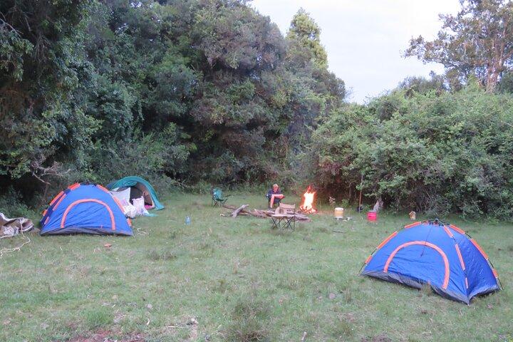 6 Days and 5 Nights of Camping & Walking at Masai Mara Loita Forest