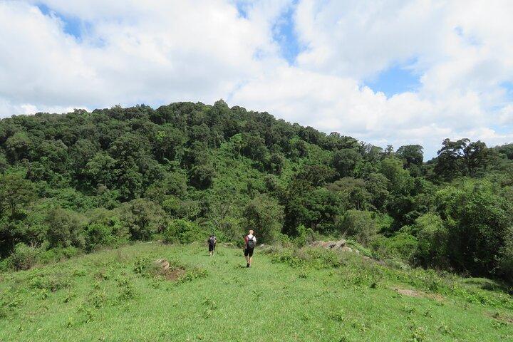 6 Days and 5 Nights of Camping & Walking at Masai Mara Loita Forest