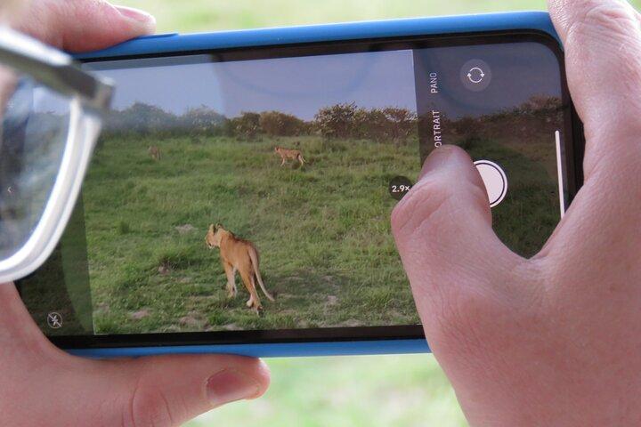 6 Days and 5 Nights of Camping & Walking at Masai Mara Loita Forest