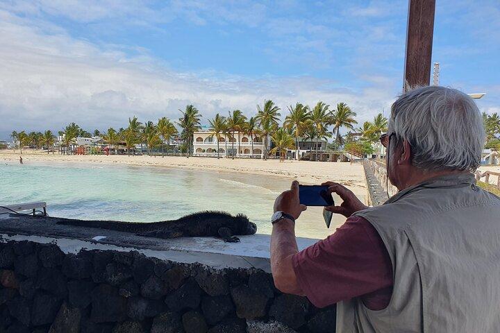 Day Tour to Isabela Island with Tintorera Islet, Snorkeling Wetlands & Flamingos