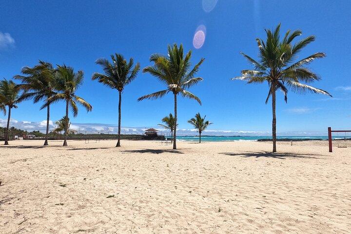 Day Tour to Isabela Island with Tintorera Islet, Snorkeling Wetlands & Flamingos