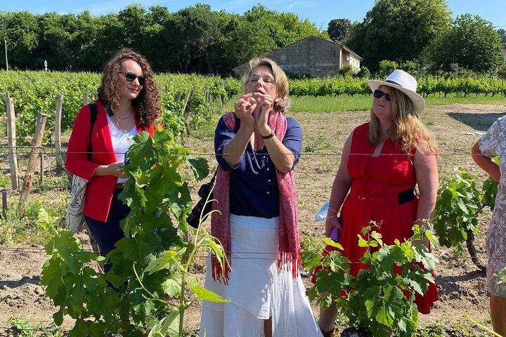 Private Wine Lovers - Super St Emilion - behind the scenes visits top chateaux and medieval town