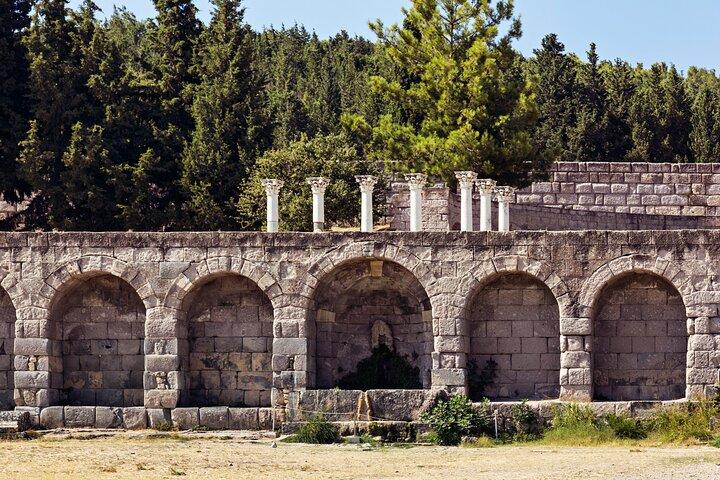 Guided Island Tour of Kos with Lunch