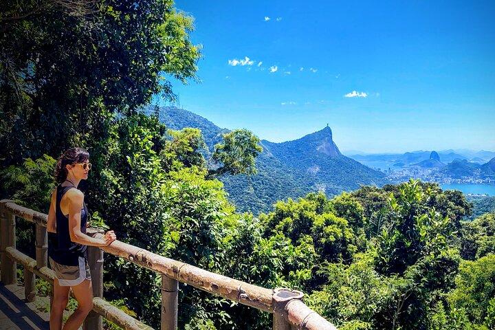 Rio Nature Secrets - The Eco Citytour (small group or private)