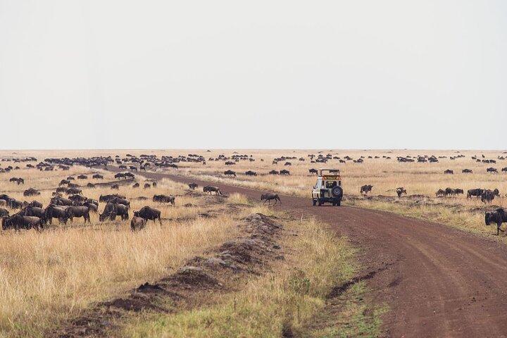 7 Days Private Jeep Safari Tour in 5 Star Lodges from Nairobi
