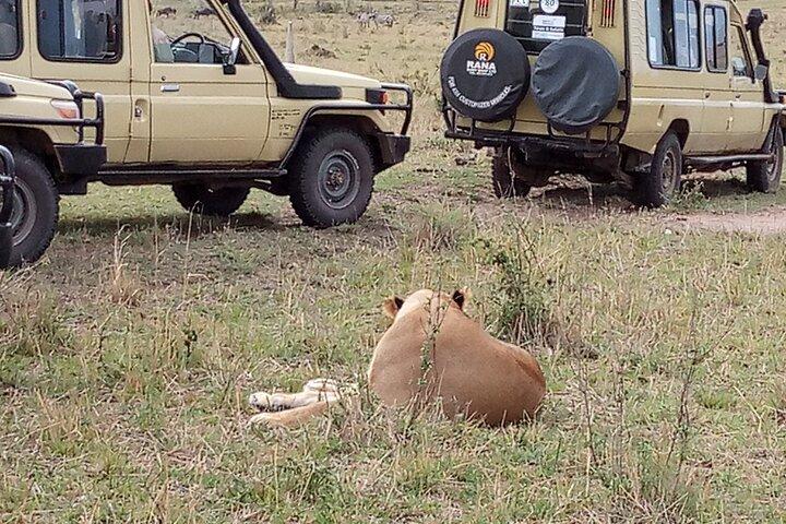 7 Days Private Jeep Safari Tour in 5 Star Lodges from Nairobi
