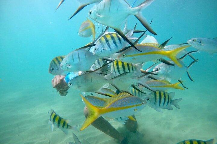 San Juan Snorkeling adventure