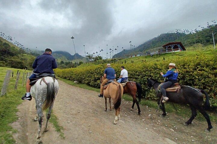 Mirador One and River Valley of Cocora