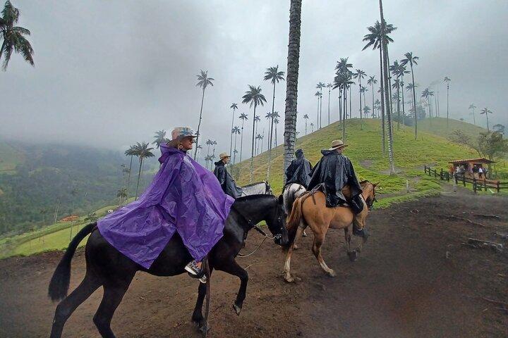 Mirador One and River Valley of Cocora
