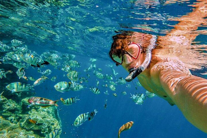 All Inclusive Baja Blast Boat Tour: Snorkeling, Food, Drinks
