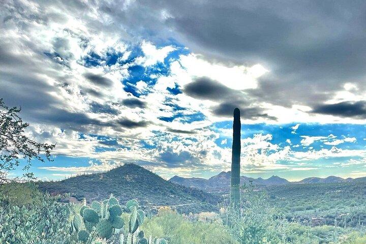 3 Hour Sonoran Desert Private Guided Mountain Bike Tour