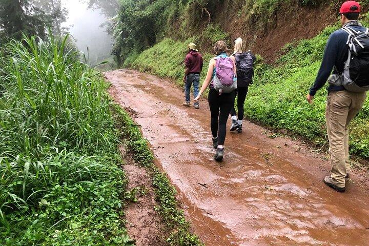 Mount Kilimanjaro day trip trekking