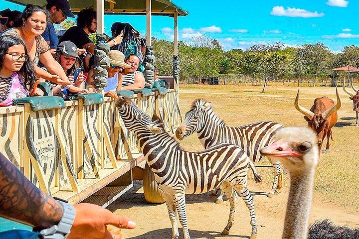 Day pass to Ponderosa Adventure Park