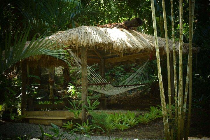 Mud Pools, Gardens, Markets, Temple & Shopping-Nadi Tour half day