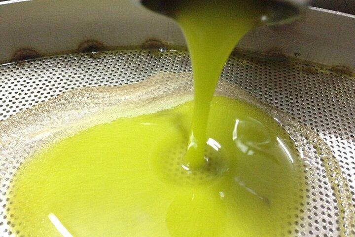 Olive Oil Mill experience and tasting in Salento with Guide