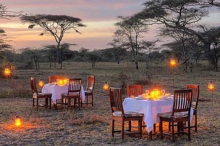 5 Days Wildlife Midrange Safari to Tarangire, Serengeti, Ngorongoro and Manyara