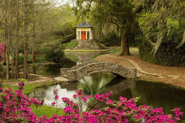 Avery Island Experience- Tabasco & Jungle Gardens Self-guided tour