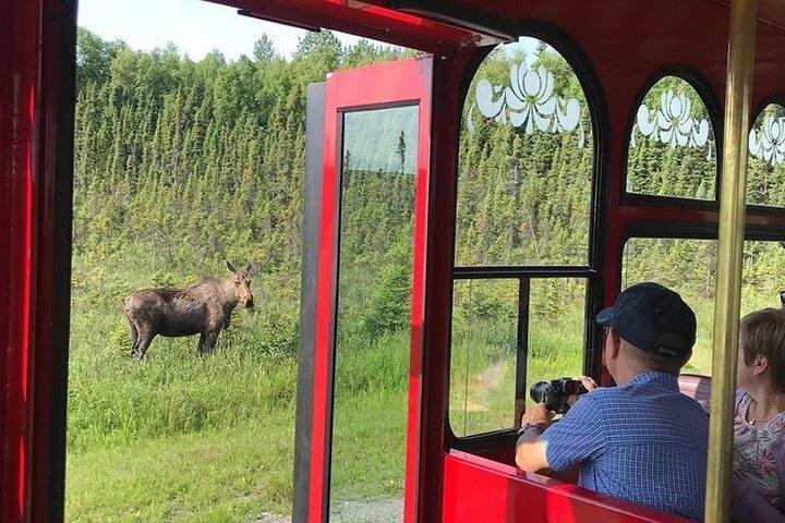 Anchorage Trolley's 1-Hour City Tour