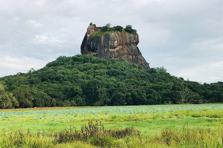 Private Day Trip To Sigiriya Rock Fortress And Dambulla Cave Temple