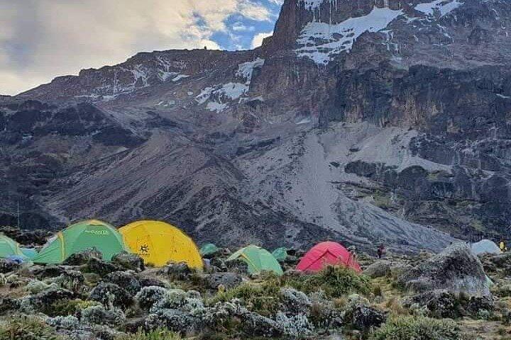 7 Days Mount Kilimanjaro Trekking via Machame Route