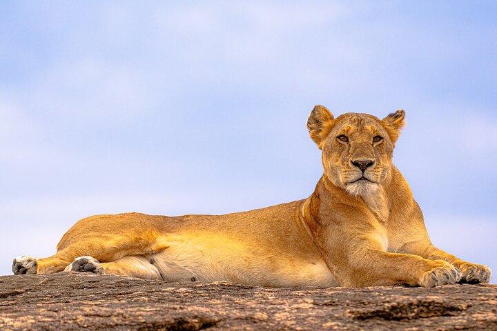 3 Days Maasai Mara Private Experience