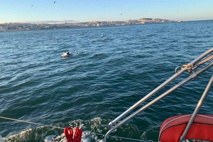 4H Private Luxury Sailboat Tour with Swim