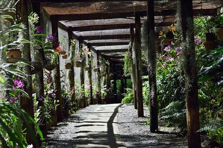 Half Day Mudpools, Veseisei Fijian Village, Gardens of Sleeping Giants &Shopping