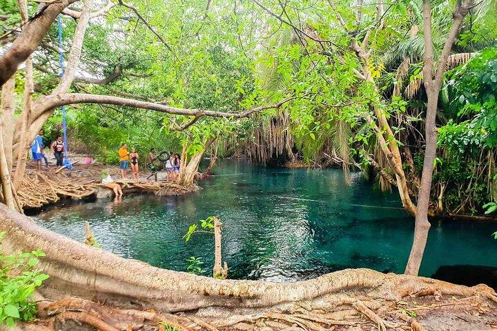 Private Tour to Materuni Waterfalls, coffee tour, Kikuletwa Hot Springs & Maasai