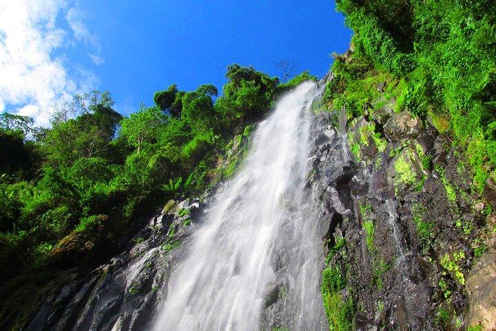 Private Tour to Materuni Waterfalls, coffee tour, Kikuletwa Hot Springs & Maasai