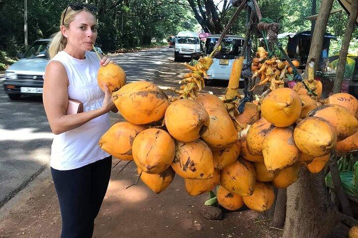 Day tour to Sigiriya & Dambulla from Kandy