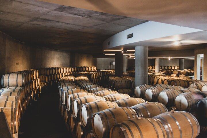 Prestigious wineries of Uco - Private luxury tour