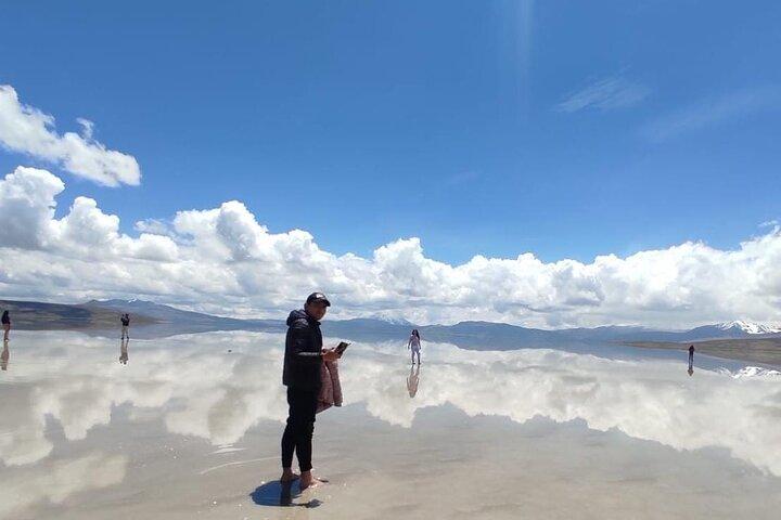 Salar de Salinas Adventure from Arequipa from 6:00am to 1:30pm