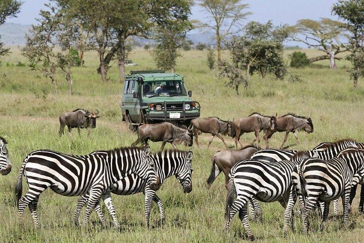 5-Day Private Camping Tarangire Serengeti Crater Manyara