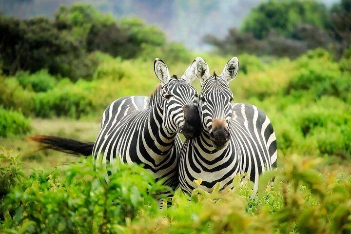5-Day Private Camping Tarangire Serengeti Crater Manyara
