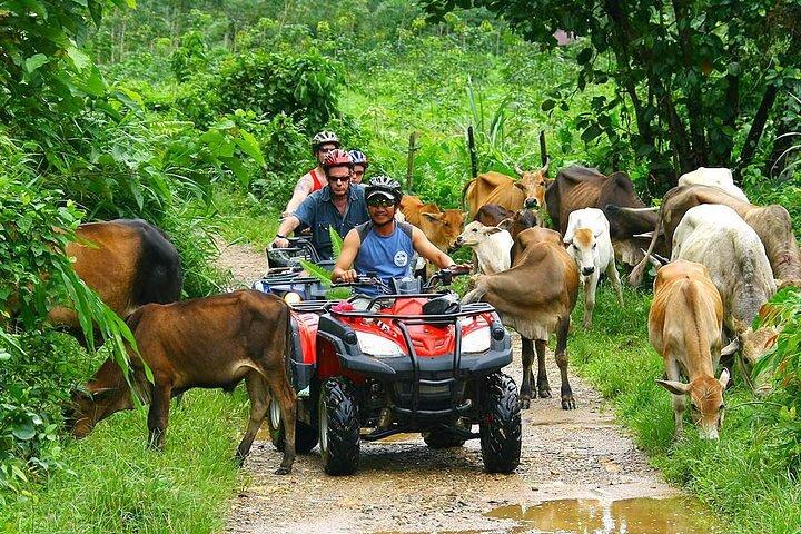 Phuket ATV Seaview On Tour
