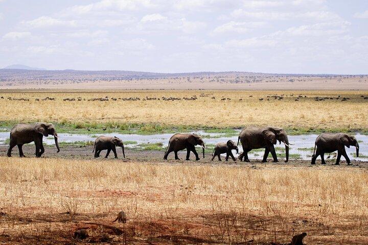 4-Day Private Camping to Tarangire, Serengeti & Ngorongoro