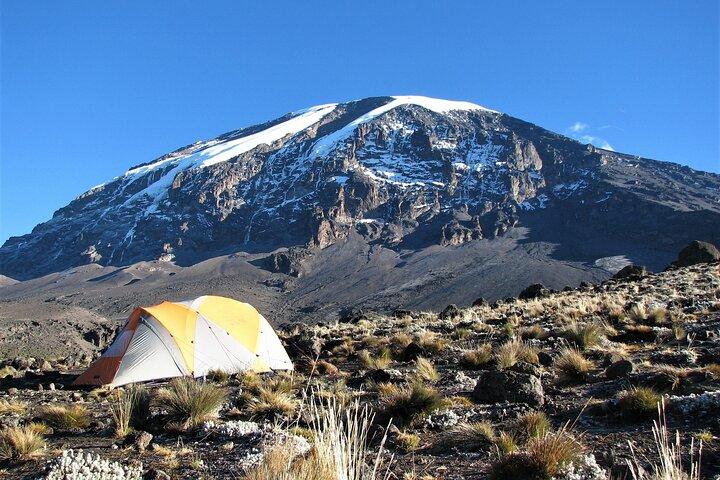 7-Day Mt Kilimanjaro Trekking via Machame Route