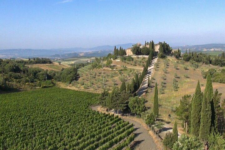 Private Chianti wine tour